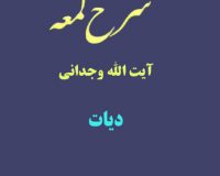 شرح لمعه آیت الله وجدانی با موضوع دیات