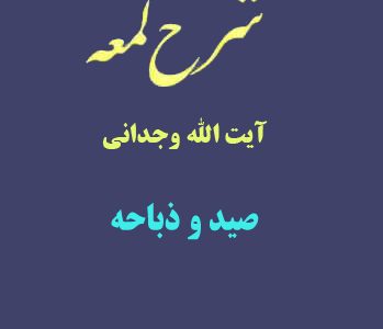 شرح لمعه آیت الله وجدانی با موضوع صید و ذباحة