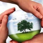 بررسی فقهی وتکلیفی آسیب زدن به محیط زیست